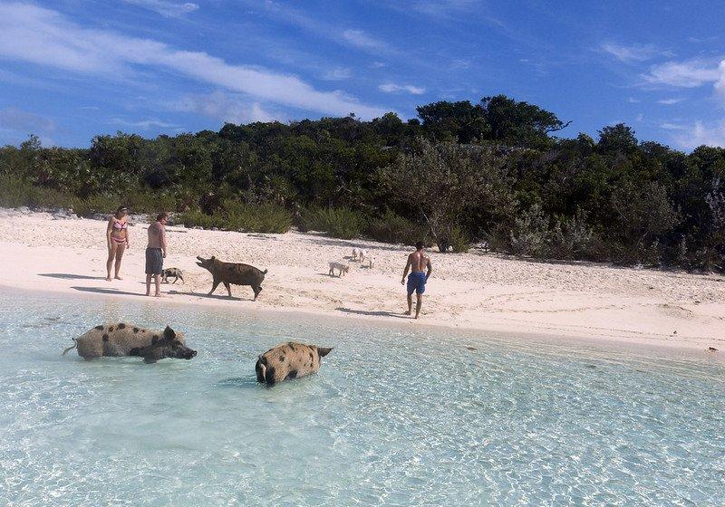 Pantai Babi, satu pantai terunik di dunia yang wajib kamu kunjungi sekali seumur hidup.