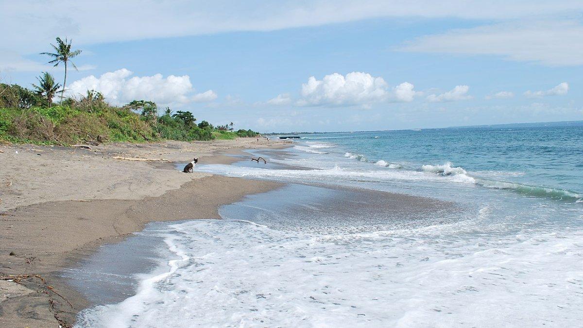 Pantai Canggu, satu tempat wisata terbaik di Bali yang cocok buat solo traveling.
