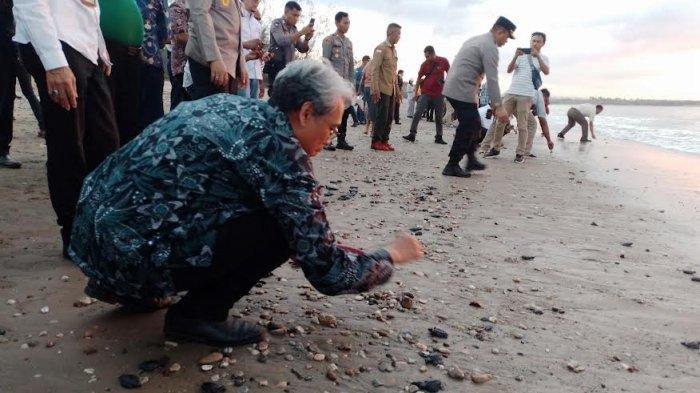 Dirjen Konservasi Sumber Daya Alam dan Ekosistem Kementerian LHK Prof. Satyawan Pudyatmoko melepasliarkan 555 tukik atau anakan penyu di Taman Wisata Alam Laut Teluk Kupang di Pantai Kelapa Tinggi, Desa Mata Air, Kecamatan Kupang Tengah, Kabupaten Kupang, NTT pada Kamis (12/10/2023).