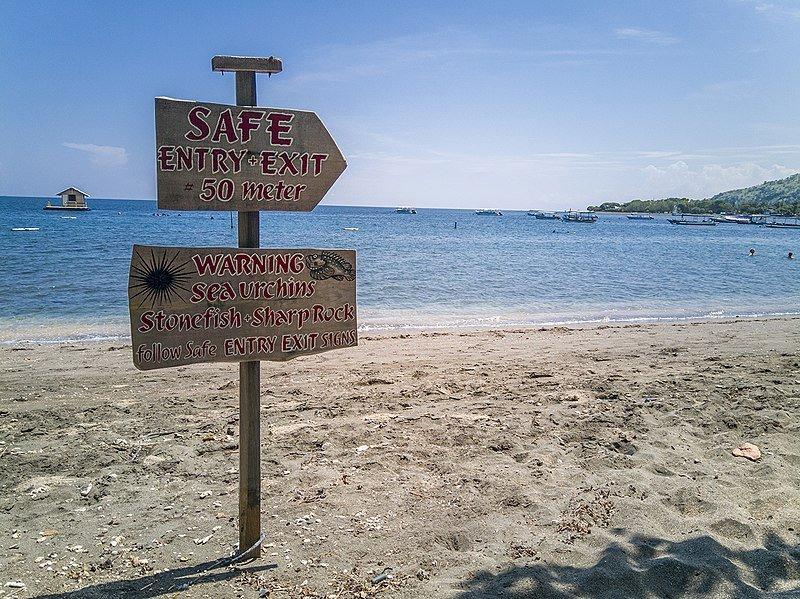 Pantai Pemuteran, satu pantai terbaik di Bali buat healing akhir pekan.