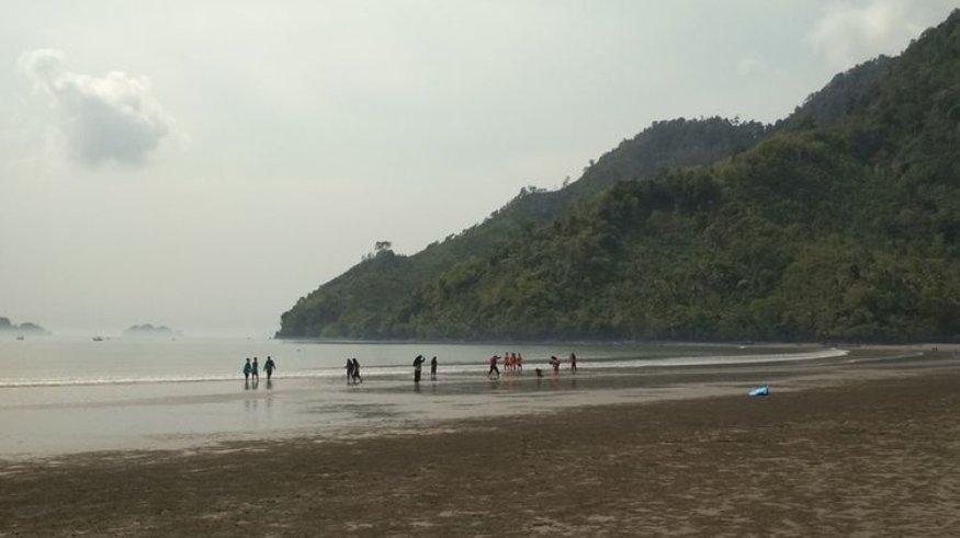 Suasana kawasan Pantai Prigi, terlihat bersih setelah dilakukan pembersihan oleh ribuan warga masyarakat Trenggalek, Selasa (19/11/2019).