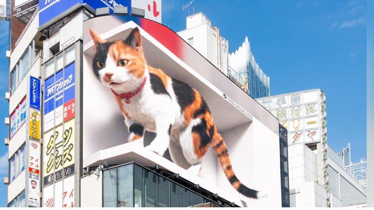 Papan Iklan 3D Shinjuku, satu tempat terbaik buat menyaksikan pemandangan Tokyo Jepang di malam hari.