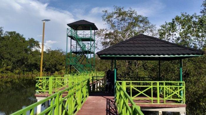 Pariaman Mangrove Park, salah satu destinasi wisata yang ada di Kota Pariaman.