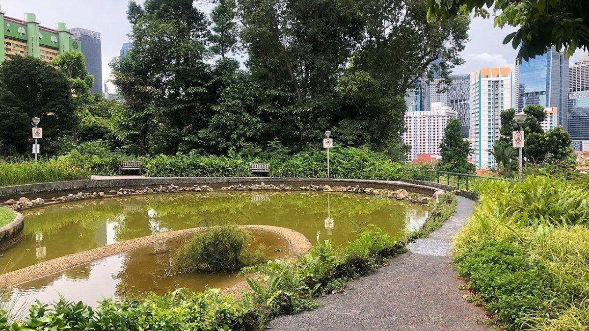 Pearl’s Hill City Park, satu surga tersembunyi di Singapura yang menjadi tempat sempurna buat healing.