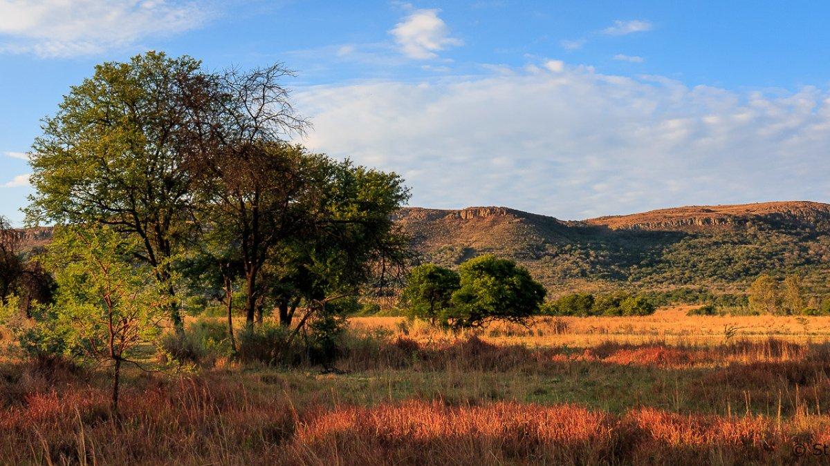 Pegunungan Magaliesberg, satu pegunungan tertua di dunia.