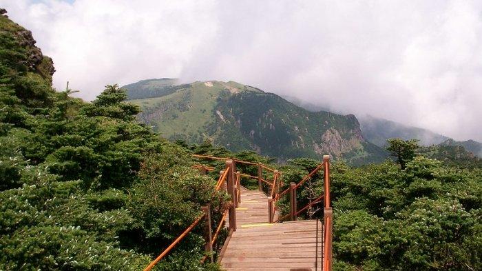 Pemandangan Gunung Halla, gunung tertinggi di Korea Selatan.