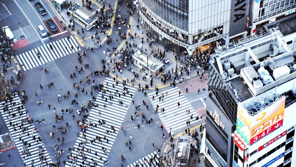 Pemandangan Shubuya Crossing dari Shibuya Scramble Square
