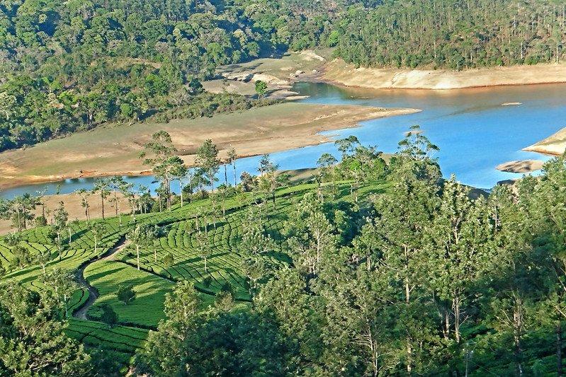 Pemandangan danau dan kebun teh di Devikulam India