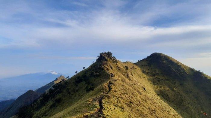 Pemandangan selama pendakian ke Gunung Merbabu via Wekas.