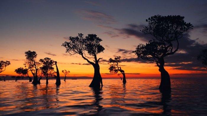 Pemandangan sunset di Pantai Walakiri Sumba yang terkenal indah dan romantis. Lanskap Pantai Walakiri, Waingapu, Sumba Timur. Pantai Walakiri menjadi salah satu daya tarik destinasi wisata di Sumba Timur.