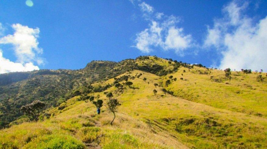 Pemandangan terbuka di jalur Bowongso Gunung Sumbing, Wonosobo, Jawa Tengah.