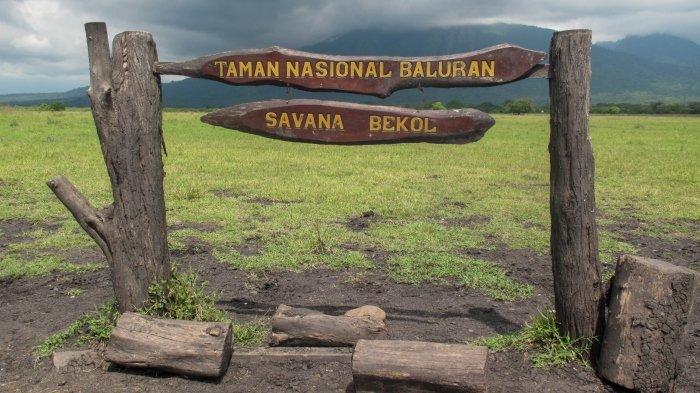 Pemandangan wisata Taman Nasional Baluran di Situbondo, Jawa Timur.