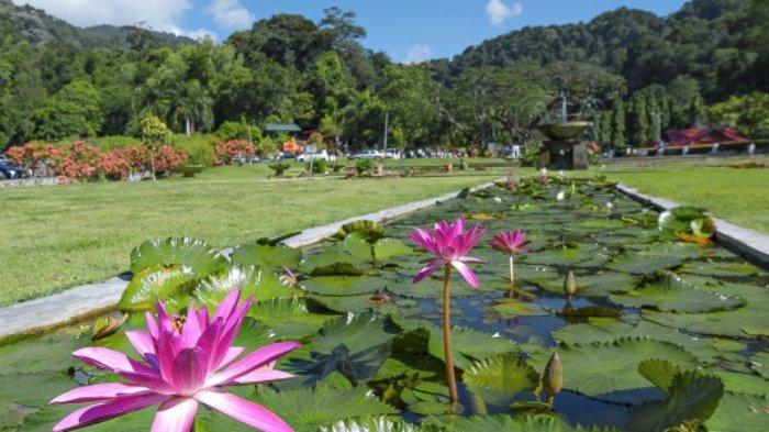 Penang Botanic Gardens di Penang, Malaysia.