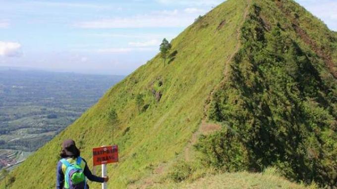 WISATA MAGELANG - Seorang pengunjung tengah melintasi jalur pendakian Gunung Andong di Magelang, Jawa Tengah. Gunung Andong bisa menjadi pilihan bagi para pendaki pemula. Berikut itinerary pendakian tektok Gunung Andong dengan bujet Rp 130 ribuan.
