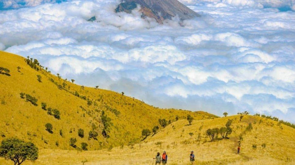 Pendakian Gunung Merbabu via Suwanting.