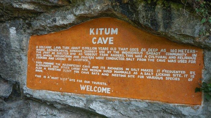 Pendeskripsian tentang Gua Kitum yang terletak di Taman Nasional Gunung Elgon, Kenya.