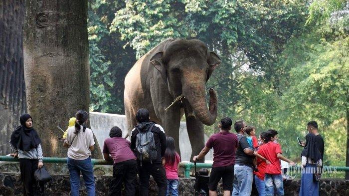 Suasana wisata di Taman Margasatwa Ragunan.