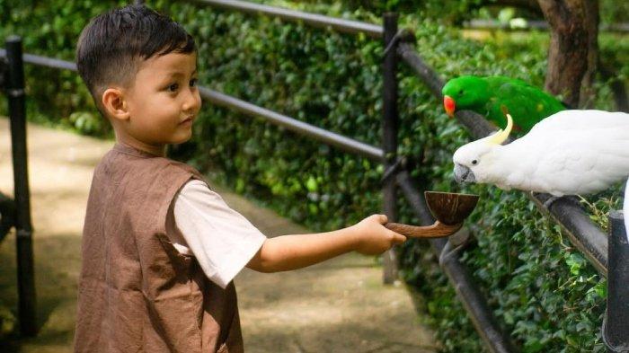 Pengunjung berinteraksi langsung dengan satwa burung di Kebun Binatang Bandung.