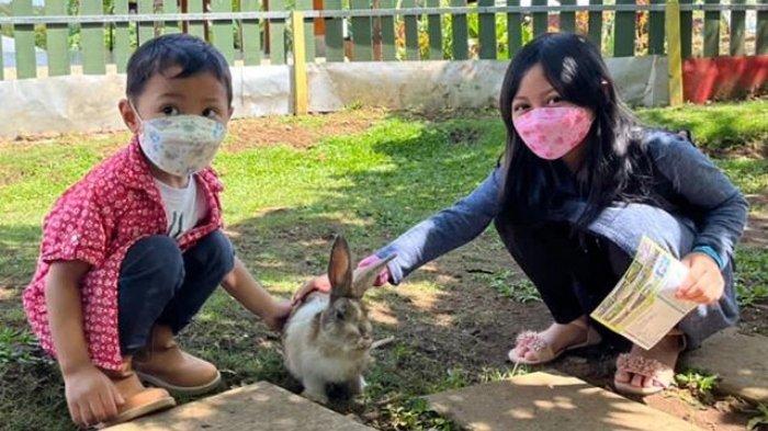 Pengunjung bermain dengan kelinci di mini zoo Kebun Pak Budi, tempat wisata di Pasuruan, Jawa Timur.
