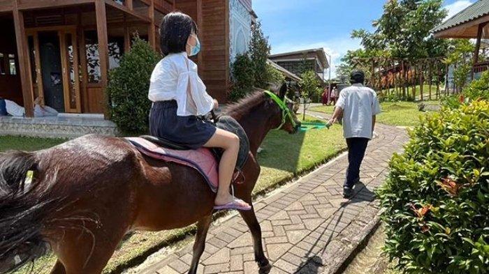 Pengunjung bermain wisata berkuda di Kebun Pak Budi, tempat wisata di Pasuruan, Jawa Timur.