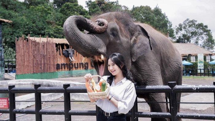Pengunjung berwisata di Lembang Park & Zoo Kecamatan Lembang, Kabupaten Bandung Barat, Jawa Barat.
