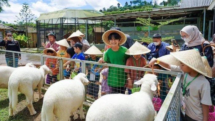 Pengunjung memberi makan satwa di Jendela Alam, tempat wisata di Kecamatan Parongpong, Kabupaten Bandung Barat, Jawa Barat.