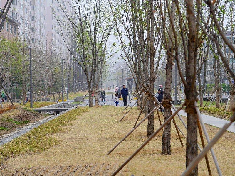 Perpustakaan Sastra Cheongun, satu tempat wisata gratis di Seoul Korea Selatan buat liburan hemat anggaran.