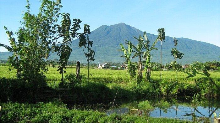 Pesona Gunung Dempo di Pagar Alam, Sumatera Selatan yang menakjubkan.