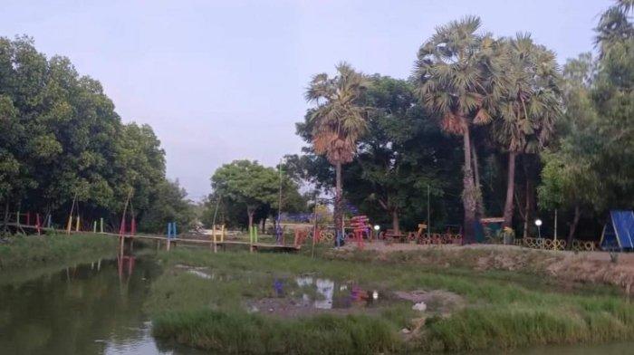 Pesona Hutan Mangrove Monro di Kecamatan Binamu, Kabupaten Jeneponto, Sulawesi Selatan.