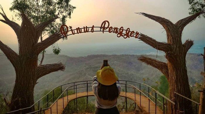 Pesona Hutan Pinus Pengger di Bantul, Jogja yang instagramable.