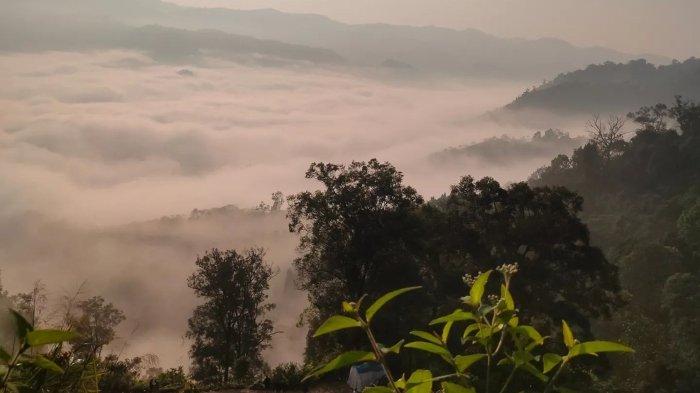 Pesona Negeri di Atas Awan Citorek di Kecamatan Cibeber, Kabupaten Lebak, Provinsi Banten.