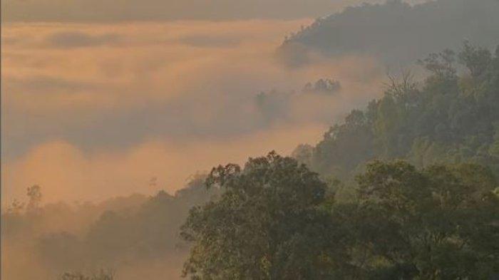 Pesona Negeri di Atas Awan Citorek di Kecamatan Cibeber, Kabupaten Lebak, Provinsi Banten.