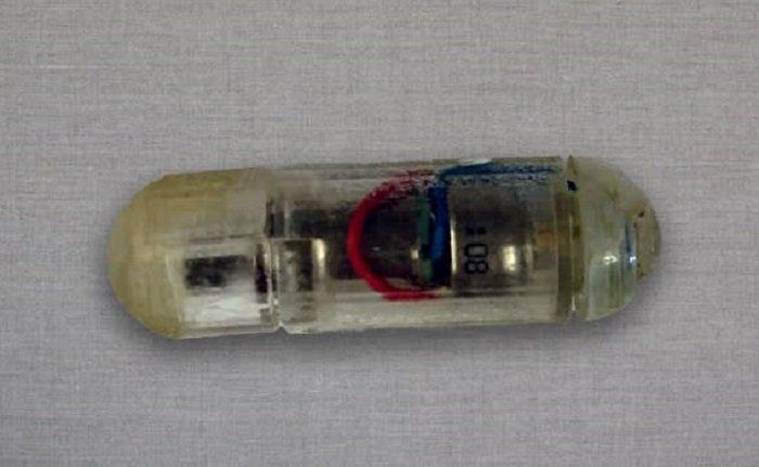 Para peneliti di Massachusetts Institute of Technology (MIT) baru saja menciptakan pil berteknologi tinggi yang membuat perut terasa kenyang.