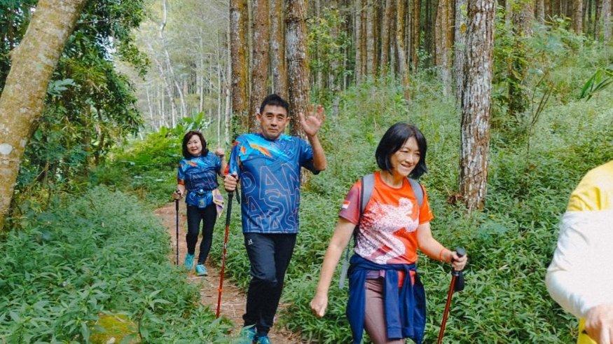 Pinea Forest Mangli.