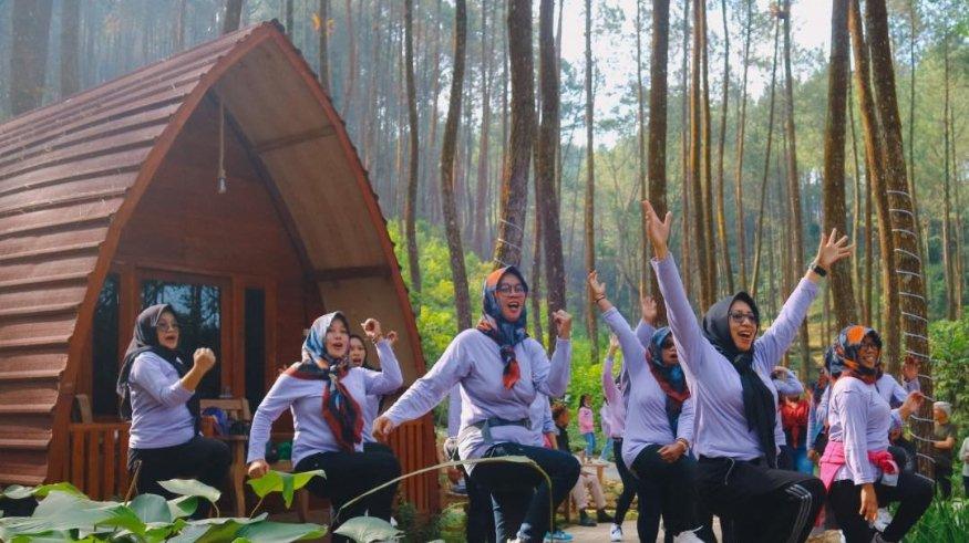 Pinea Forest Mangli.