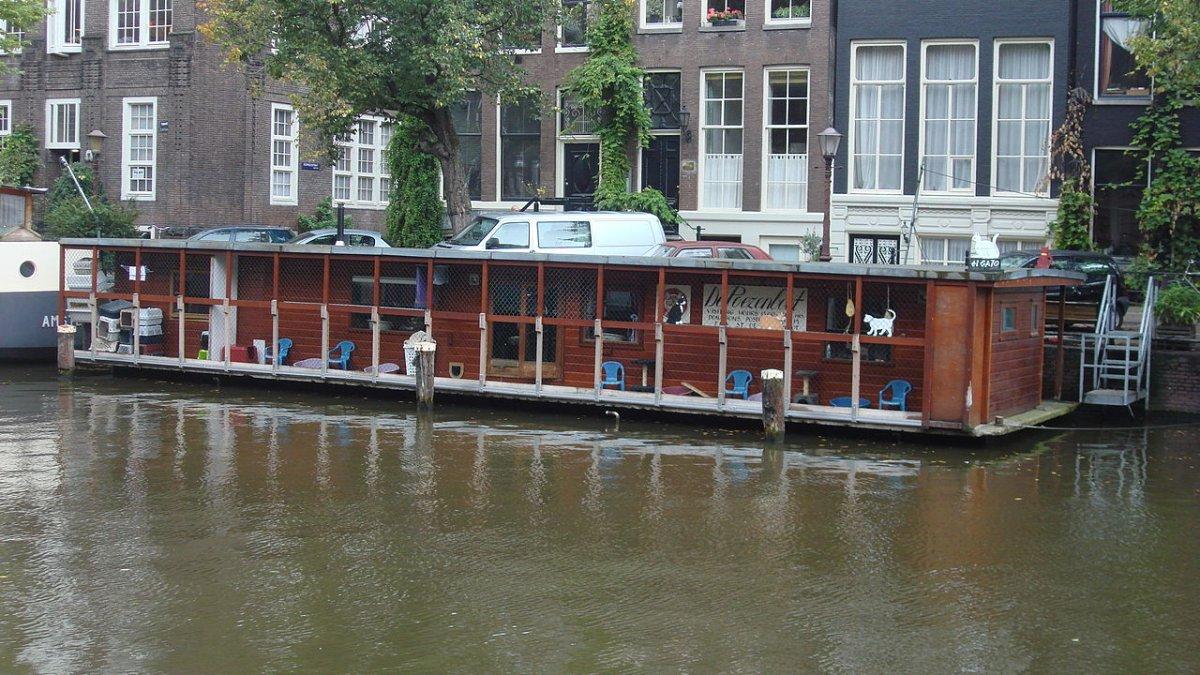 Poezenboot, satu tempat wisata di Amsterdam Belanda yang gratis buat kamu kunjungi.