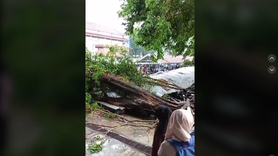 Pohon tumbang di UMS.
