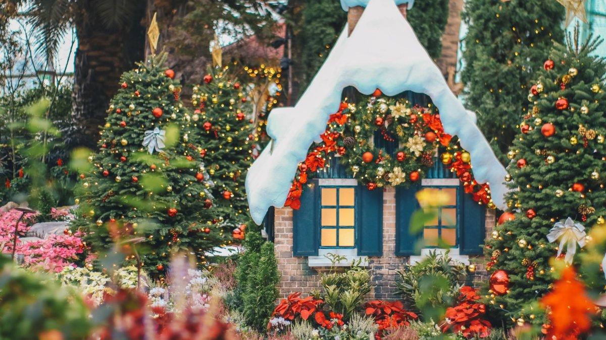 Poinsettia Wishes, satu event Natal 2023 terbaik di Singapura