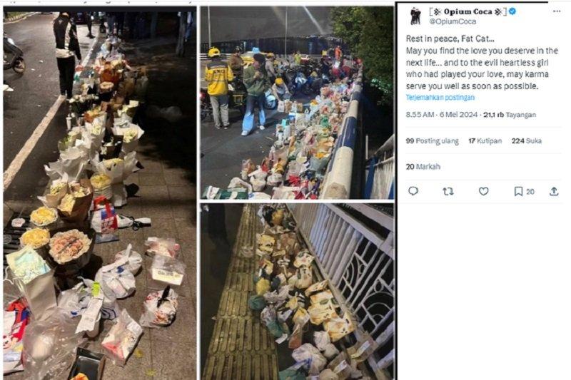 Potret jembatan Sungai Yangtze yang penuh bunga untuk Fat Cat.