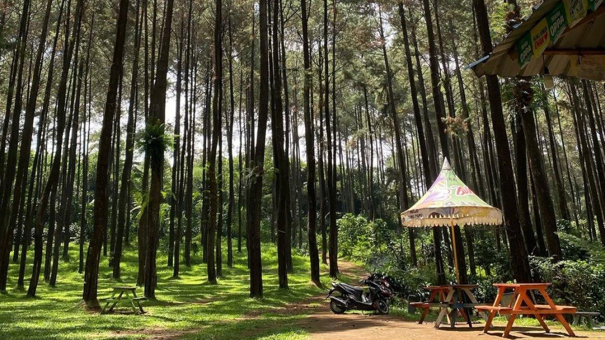 Prabalintang Danasari, satu tempat wisata terbaik di Tegal Jawa Tengah buat liburan akhir pekan.