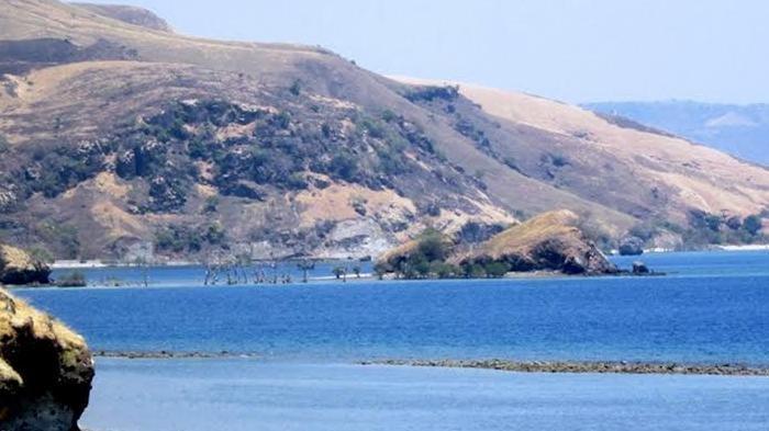 Pulau Nusa Kutu, satu tempat wisata terbaik di Maumere yang bisa kamu kunjungi saat akhir pekan.