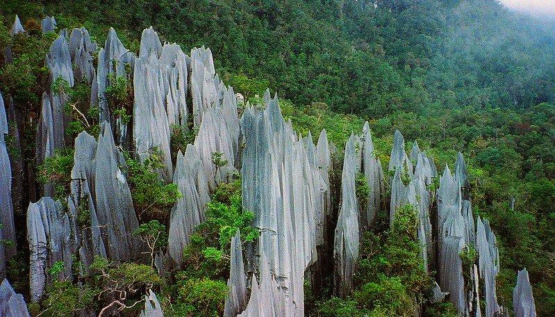 Puncak Gunung Mulu, satu tempat wisata terbaik di Malaysia buat kamu yang baru pertama kali berkunjung ke sana.