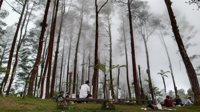 Puncak Lawang terletak di Kecamatan Matur, Kabupaten Agam, Sumatera Barat (Sumbar).