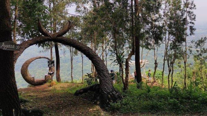 Puncak Pinus Becici atau dikenal juga dengan Puncak Becici di Jogja.