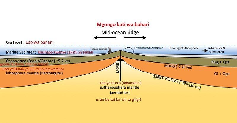 Punggung Bukit Tengah Laut (Mid-Ocean Ridge) pada dasarnya adalah rangkaian pegunungan, bukit, dan lembah retakan di bawah air.