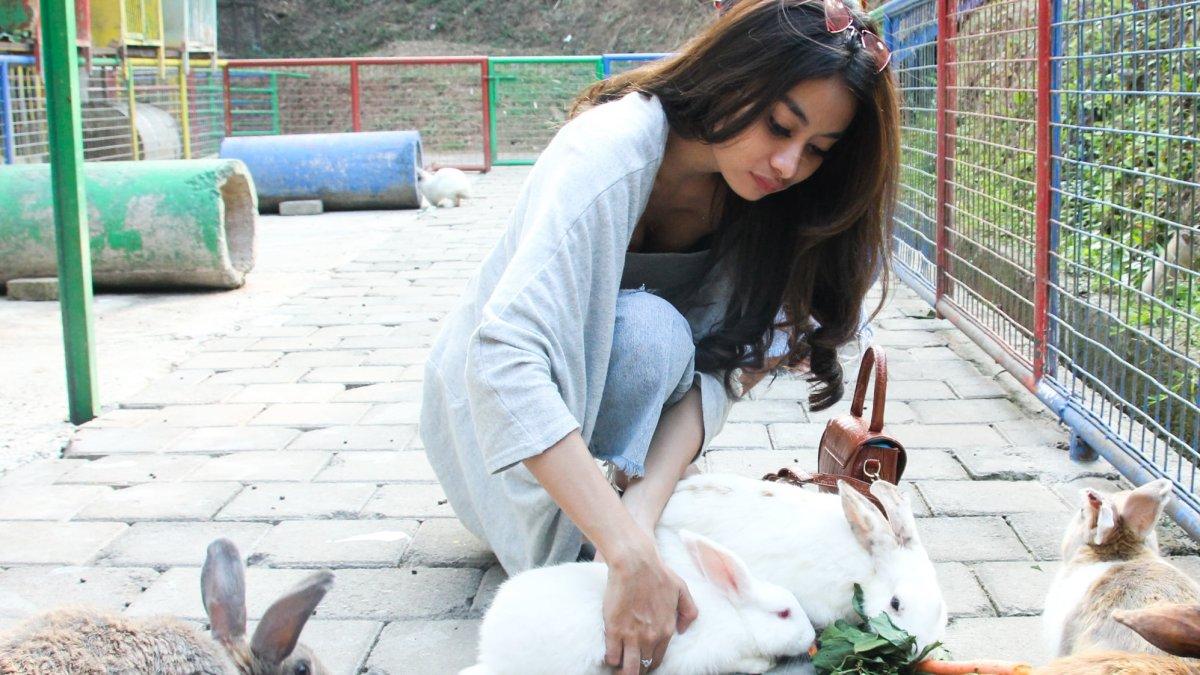 Rabbit House – Dago Dreampark, Kabupaten Bandung Barat, Jawa Barat. Tempat favorit anak-anak! Pengunjung bisa memberi makan dan bermain langsung dengan kelinci-kelinci lucu.