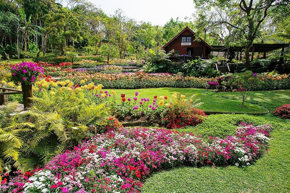 Rai Mae Fah Luang, satu tempat wisata terbaik di Chiang Rai Thailand.