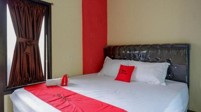 RedDoorz @ Gerbang Dieng Plateau Area.