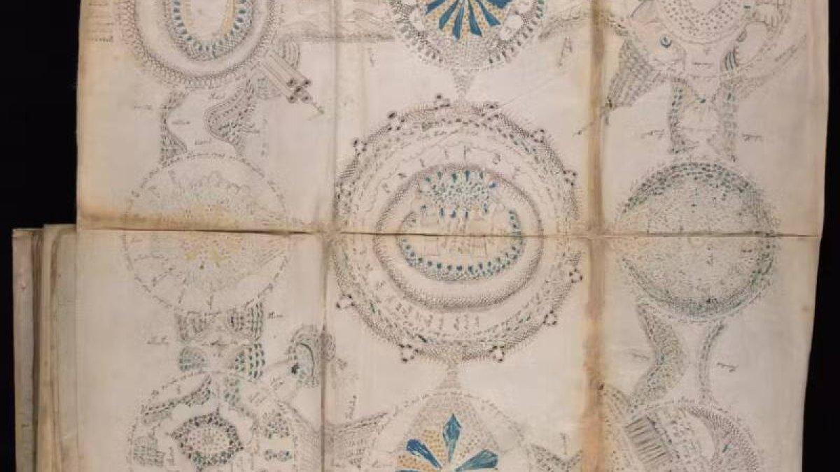 Rosettes, ilustrasi terbesar dalam manuskrip Voynich, mungkin mewakili pemahaman abad pertengahan tentang anatomi seksual perempuan.