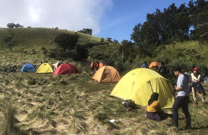PENDAKIAN GUNUNG MERBABU - Para pendaki mendirikan tenda di Sabana 2 Gunung Merbabu, Jumat (28/2/2025). Traveler yang ingin mendaki Gunung Merbabu, bisa menyimak itinerary 2 hari 1 malam dengan bujet Rp 165 ribuan per orang yang telah dirangkum TribunTravel berikut.